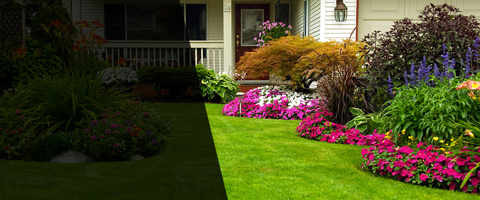 Roswell Landscapers